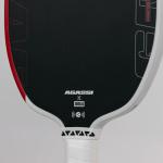 Vợt Pickleball JOOLA Graf Pro