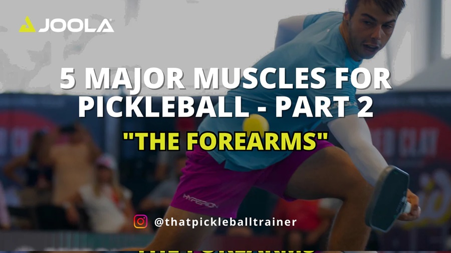 Pickleball Elbow: Phòng Ngừa & Điều Trị Đau Khuỷu Tay