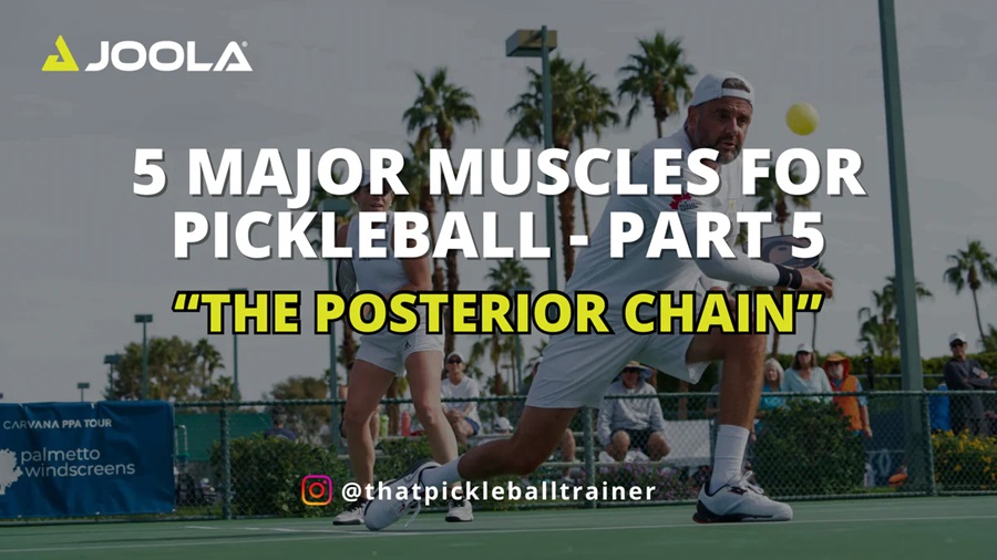 Sức Mạnh Posterior Chain: Yếu Tố Quyết Định Thành Công Cho Người Chơi Pickleball